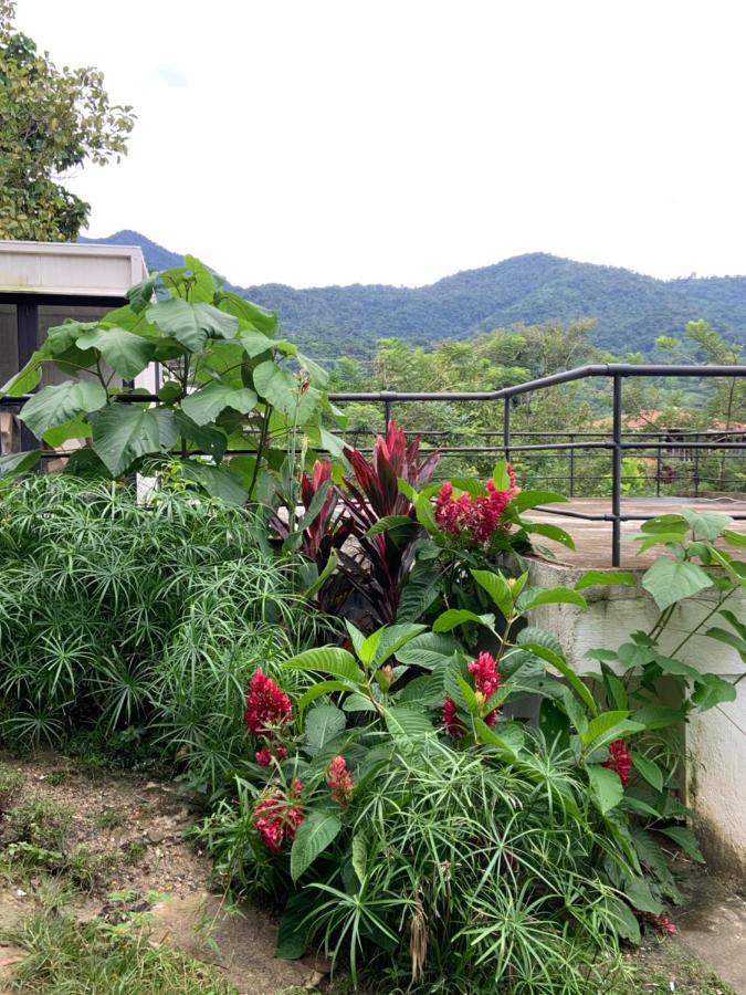 Minca Seasons Birds Hostel Εξωτερικό φωτογραφία